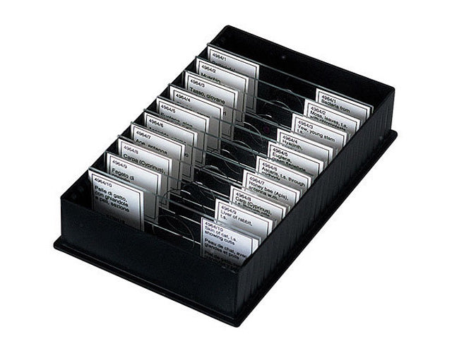 Konus Set 10 Muestras Para Microscopio Peces Ranas Y Otros Anfibios