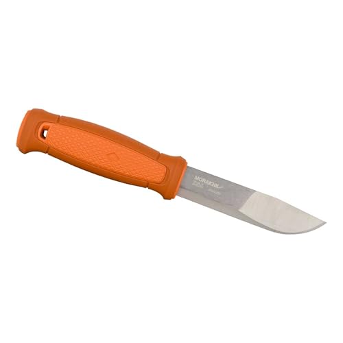 Amazon imagen 2