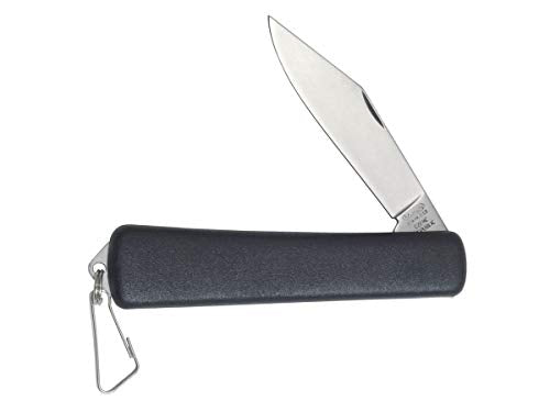 Amazon imagen 2