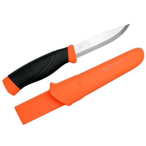 Amazon imagen 2