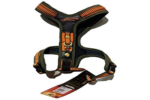 Amazon imagen 1