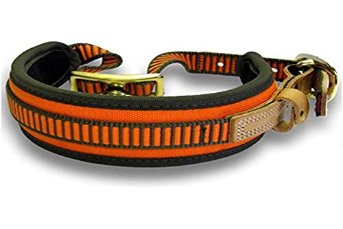 Amazon imagen 1
