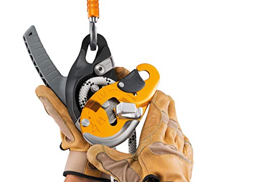 Amazon imagen 5