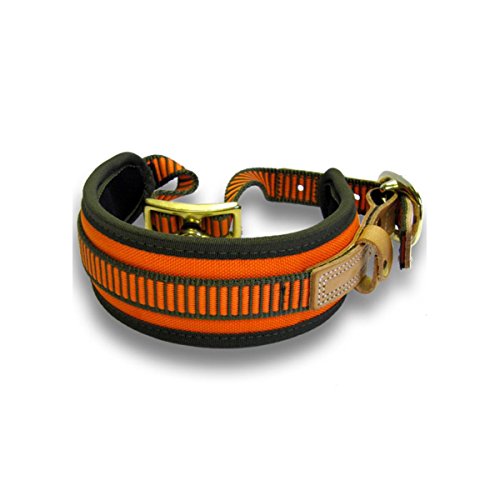 Amazon imagen 1