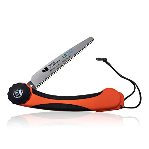 Amazon imagen 2
