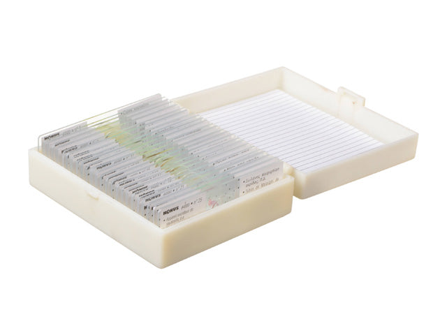 Konus Set 10 Muestras Microscopio Crecimiento y Reproducción Celular Modelo 4887