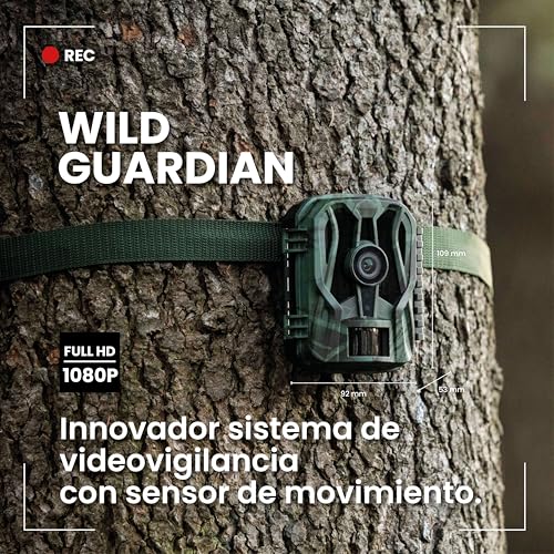 Amazon imagen 5