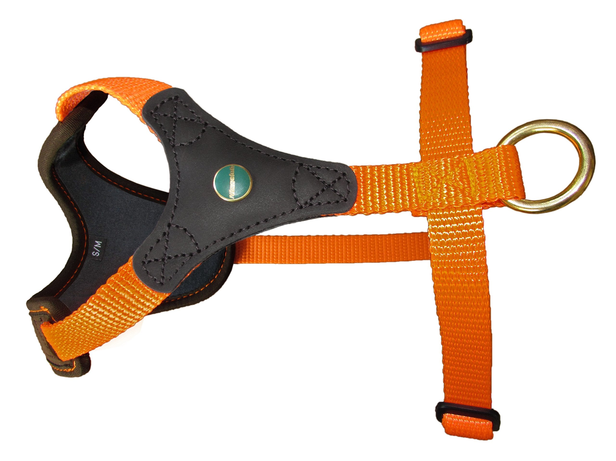 Amazon imagen 3