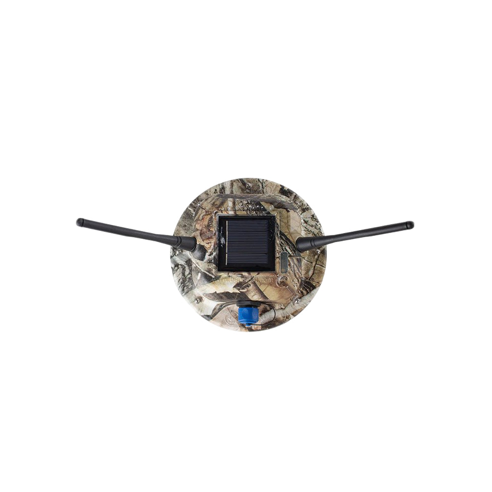 Foto proveedor El Calden - BT-040