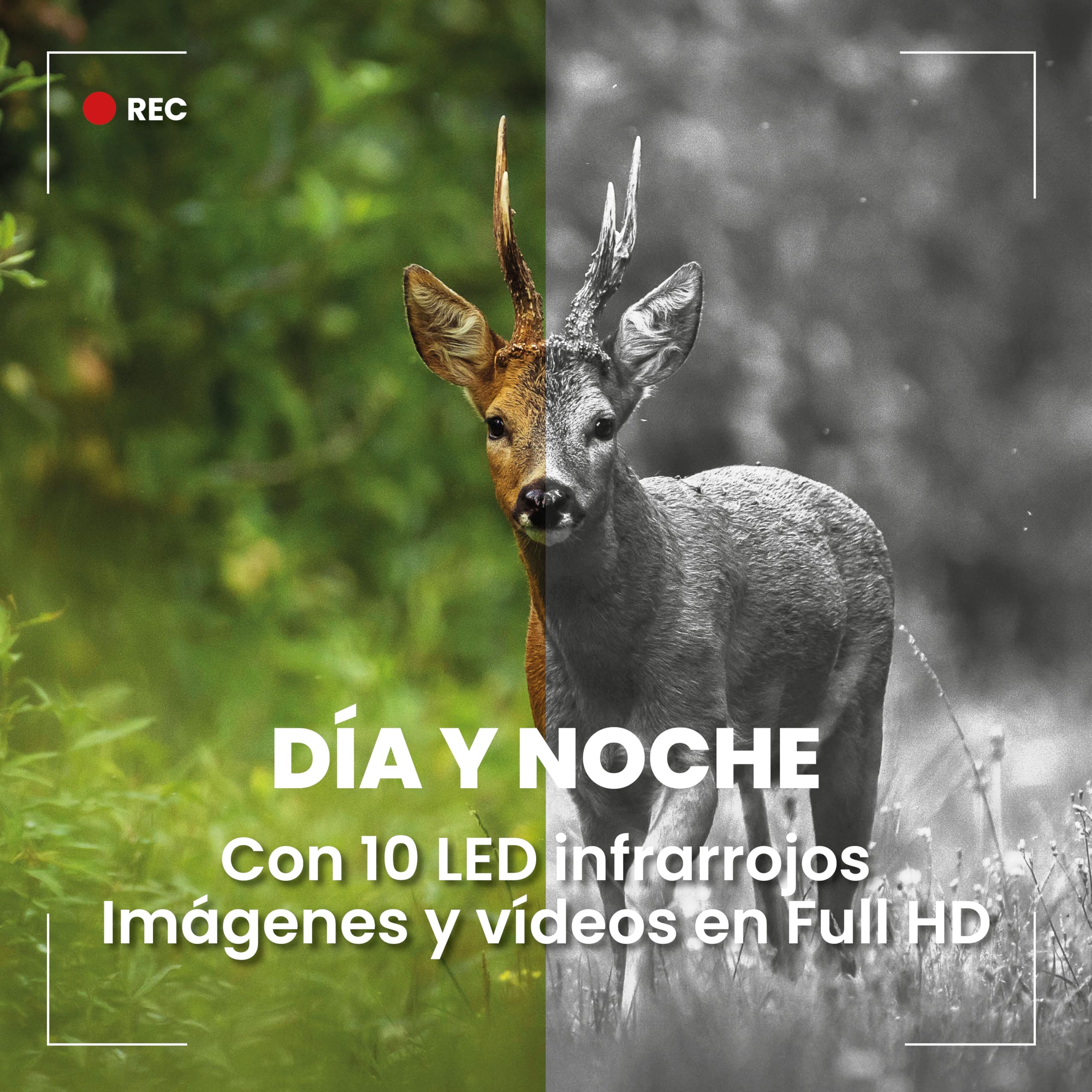Amazon imagen 7
